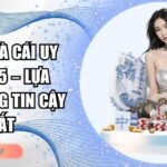 top 5 nhà cái uy tín